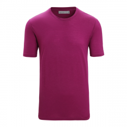 Icebreaker Merino Tech Lite II T-Shirt Herren - Leicht, Warm, Schnelltrocknend für Reisen, Outdoor und Abenteuer